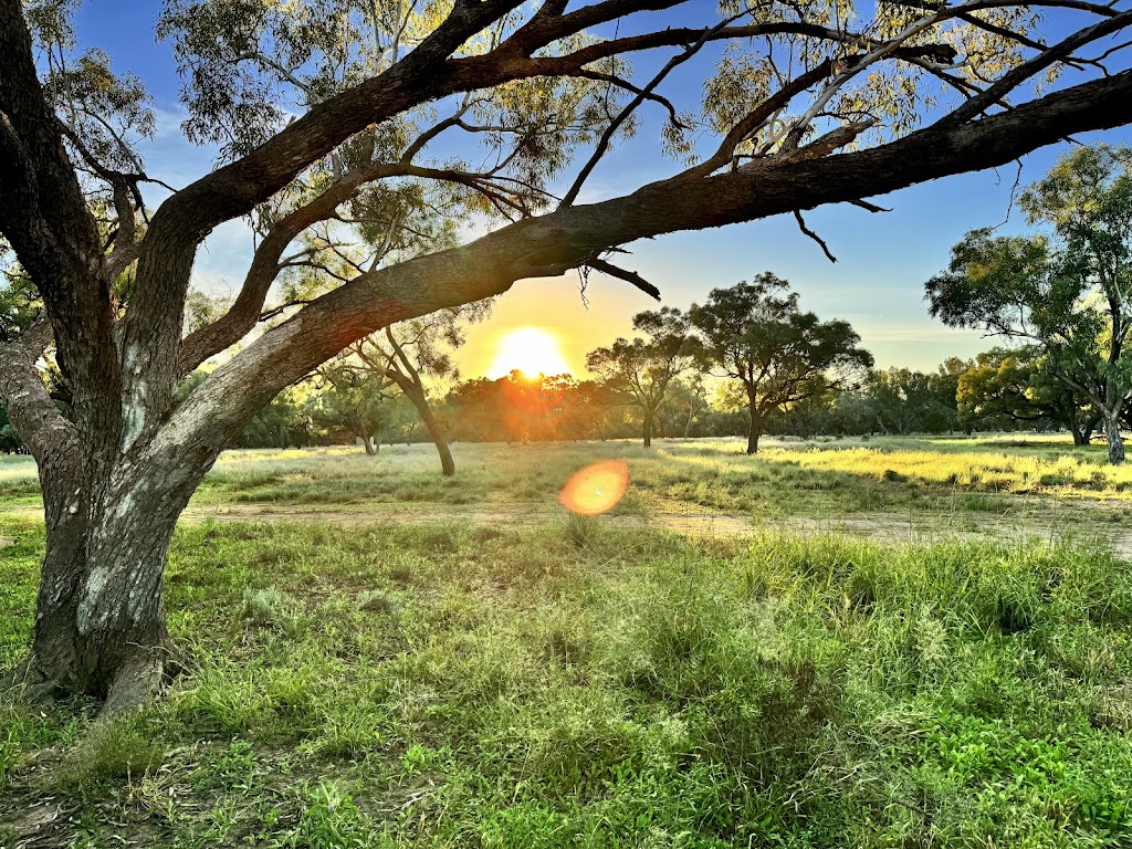 Franc Villers Station | Francvillers Station, Cunnamulla QLD 4490, Australia | Phone: 0409 897 172