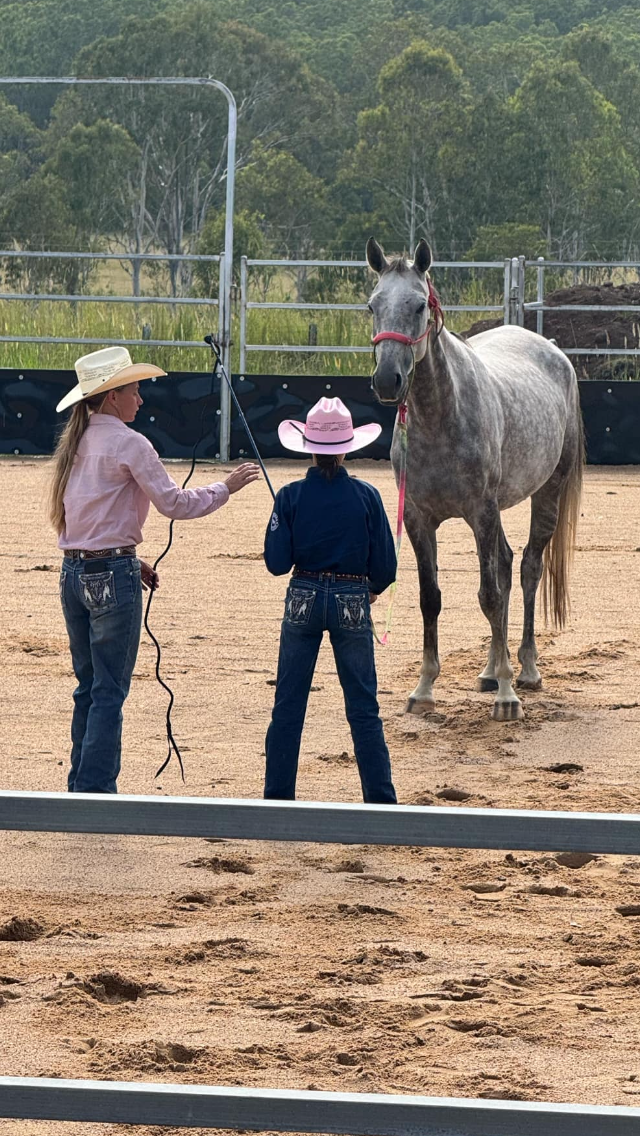 Logical Equine Lessons | 795 Avenue Rd, Ellangowan NSW 2470, Australia | Phone: 0402 748 692