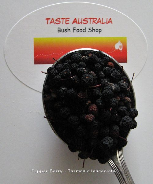 Taste Australia Bush Food Shop | store | Lady Penrhyn Ct, Mundoolun QLD 4285, Australia | 0428892217 OR +61 428 892 217