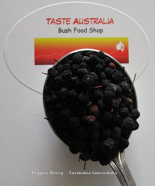 Taste Australia Bush Food Shop | Lady Penrhyn Ct, Mundoolun QLD 4285, Australia | Phone: 0428 892 217