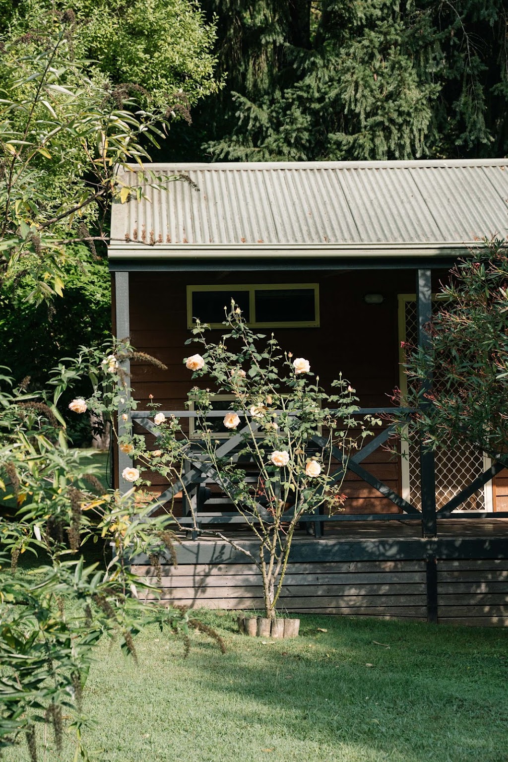 Harrietville Cabins | lodging | 20 Camping Park Rd, Harrietville VIC 3741, Australia | 0357592544 OR +61 3 5759 2544
