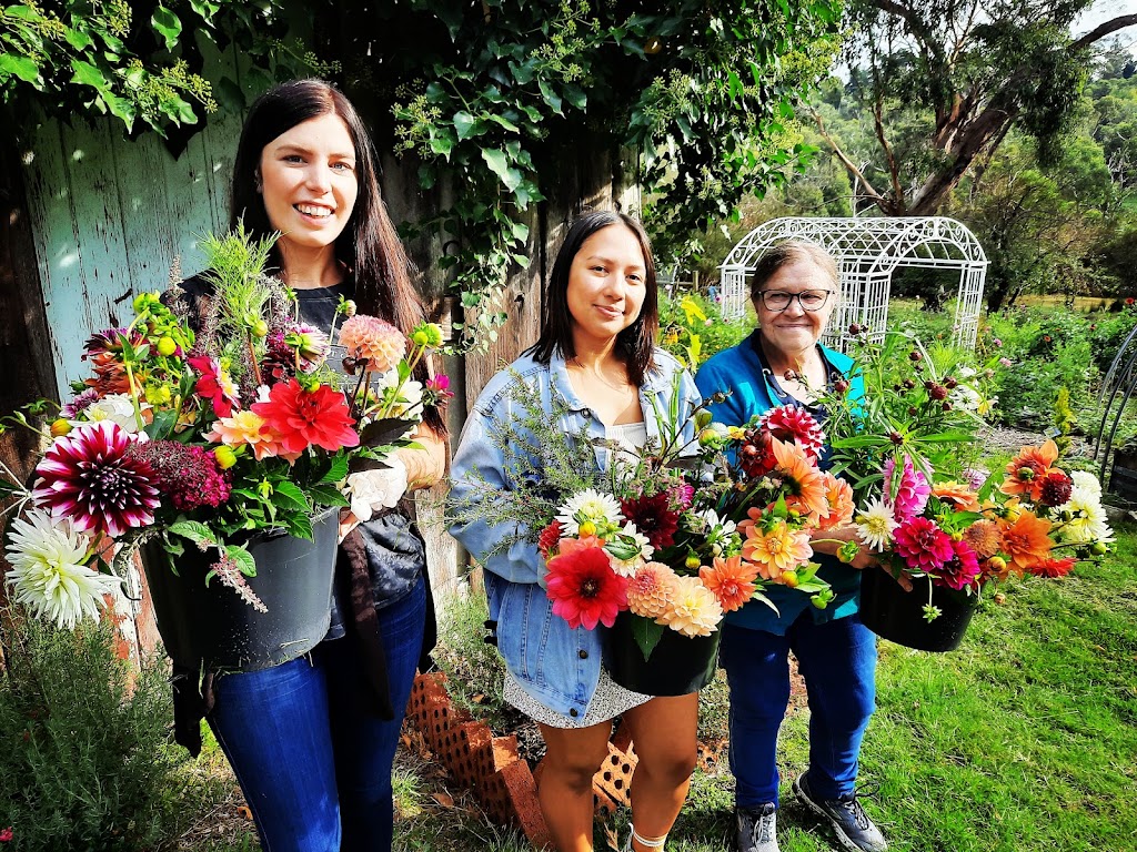 Harvest Homestead | 229 Glenfern Rd, Upwey VIC 3158, Australia | Phone: 0477 733 881