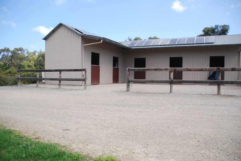 Hawks Nest Horse Agistment | 125 Balnarring Rd, Balnarring VIC 3926, Australia | Phone: 0419 558 030