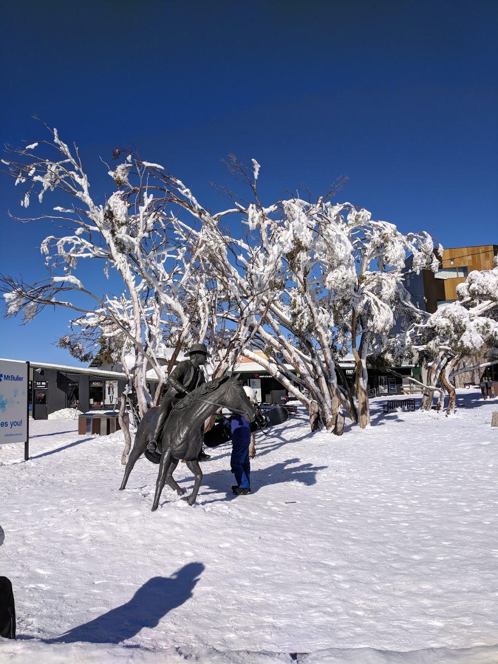 Mansfield Mt.Buller Bus Lines | travel agency | 137 High St, Mansfield VIC 3722, Australia | 0357752606 OR +61 3 5775 2606