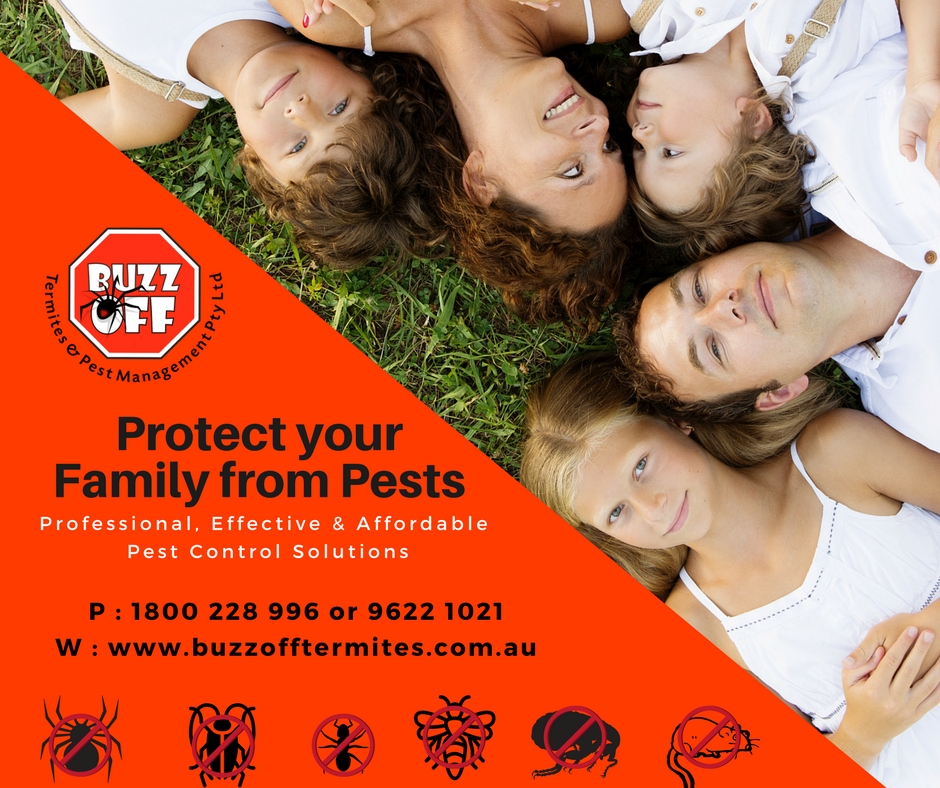 Buzz Off Termites & Pest Management Sydney | 155 Walters Rd, Blacktown NSW 2148, Australia | Phone: (02) 9622 1021