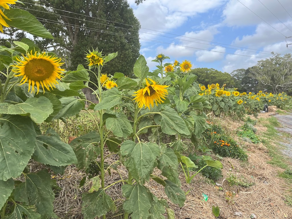 The Big Green Shed | 194 Kennedys Ln, Ewingsdale NSW 2481, Australia | Phone: 0401 781 276