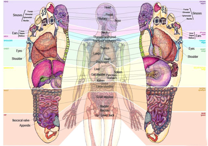 Your Holistic Journey | health | Redgrave St, Stafford Heights QLD 4053, Australia | 0466266744 OR +61 466 266 744