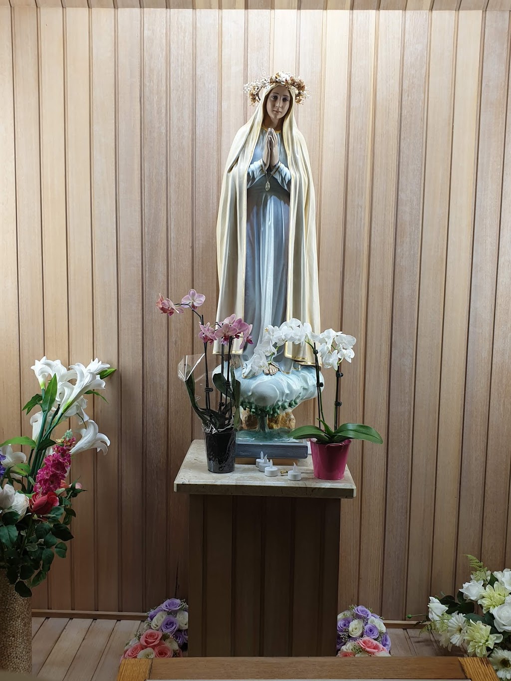 Mary Immaculate Church | church | 31 Edmund Rice Dr, Ashmore QLD 4214, Australia | 0755102222 OR +61 7 5510 2222