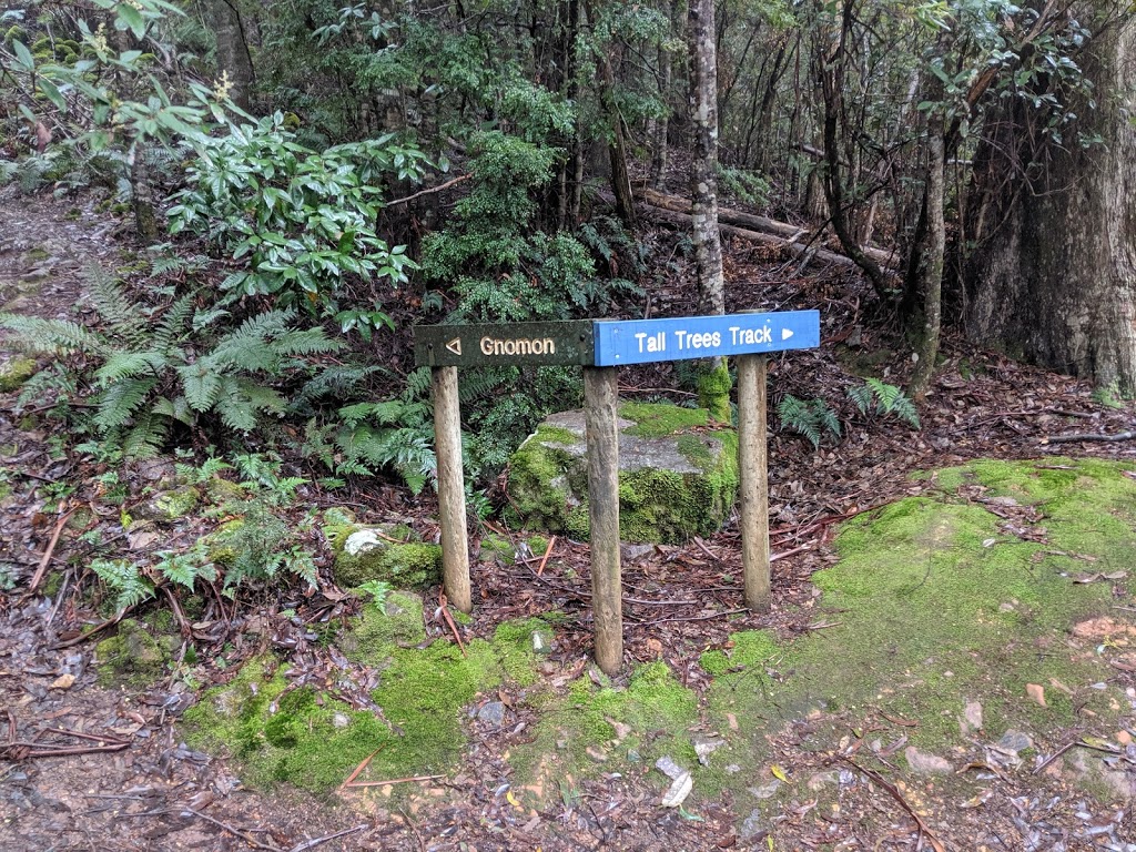 Mount Gnomon | park | Mount Dial Track, Penguin TAS 7316, Australia