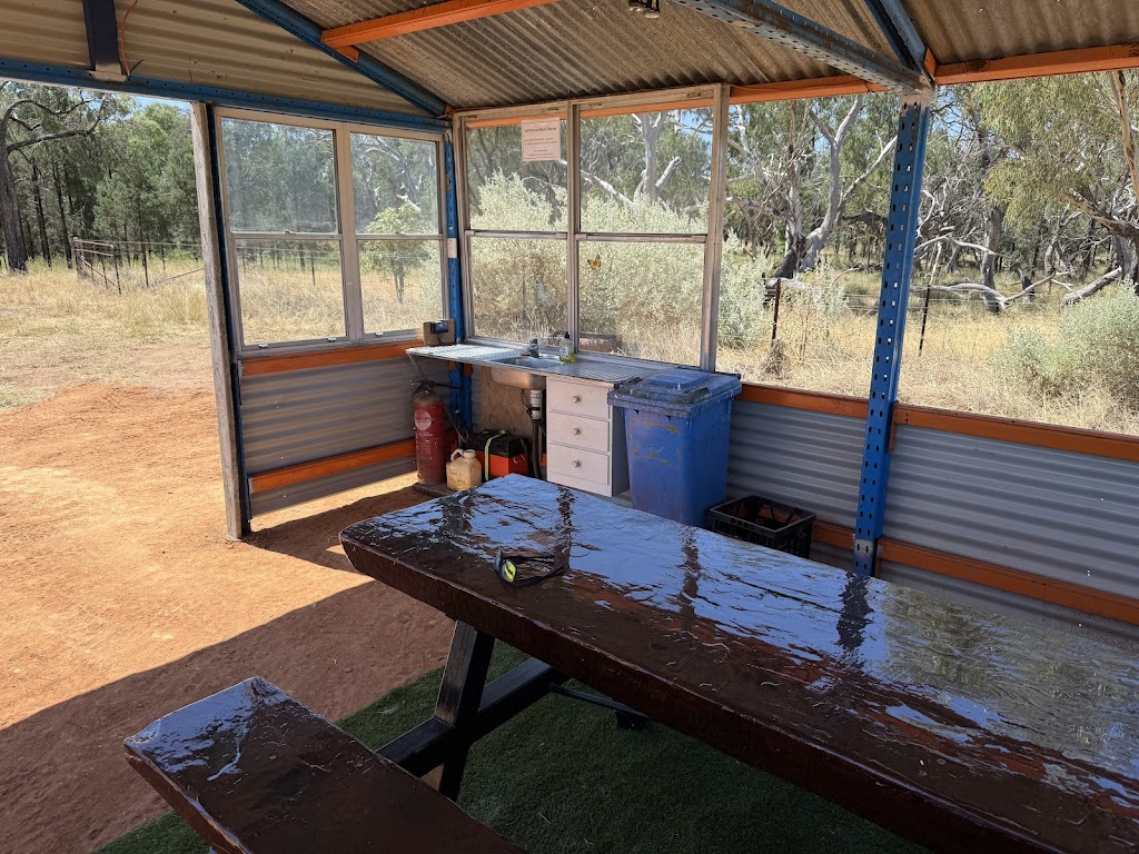 Yarralla on the Marthaguy Campground | 6117 Newell Hwy, Gilgandra NSW 2827, Australia | Phone: 0418 430 304