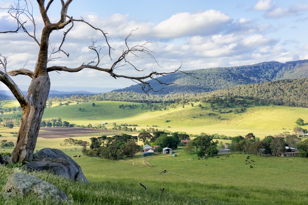 Don Bosco Retreat Center | place of worship | 465 Lysterfield Rd, Lysterfield VIC 3156, Australia | 0397522432 OR +61 3 9752 2432