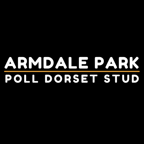 Armdale Park Poll Dorset Stud | food | Marrar N Rd, Marrar NSW 2652, Australia | 0427275134 OR +61 427 275 134