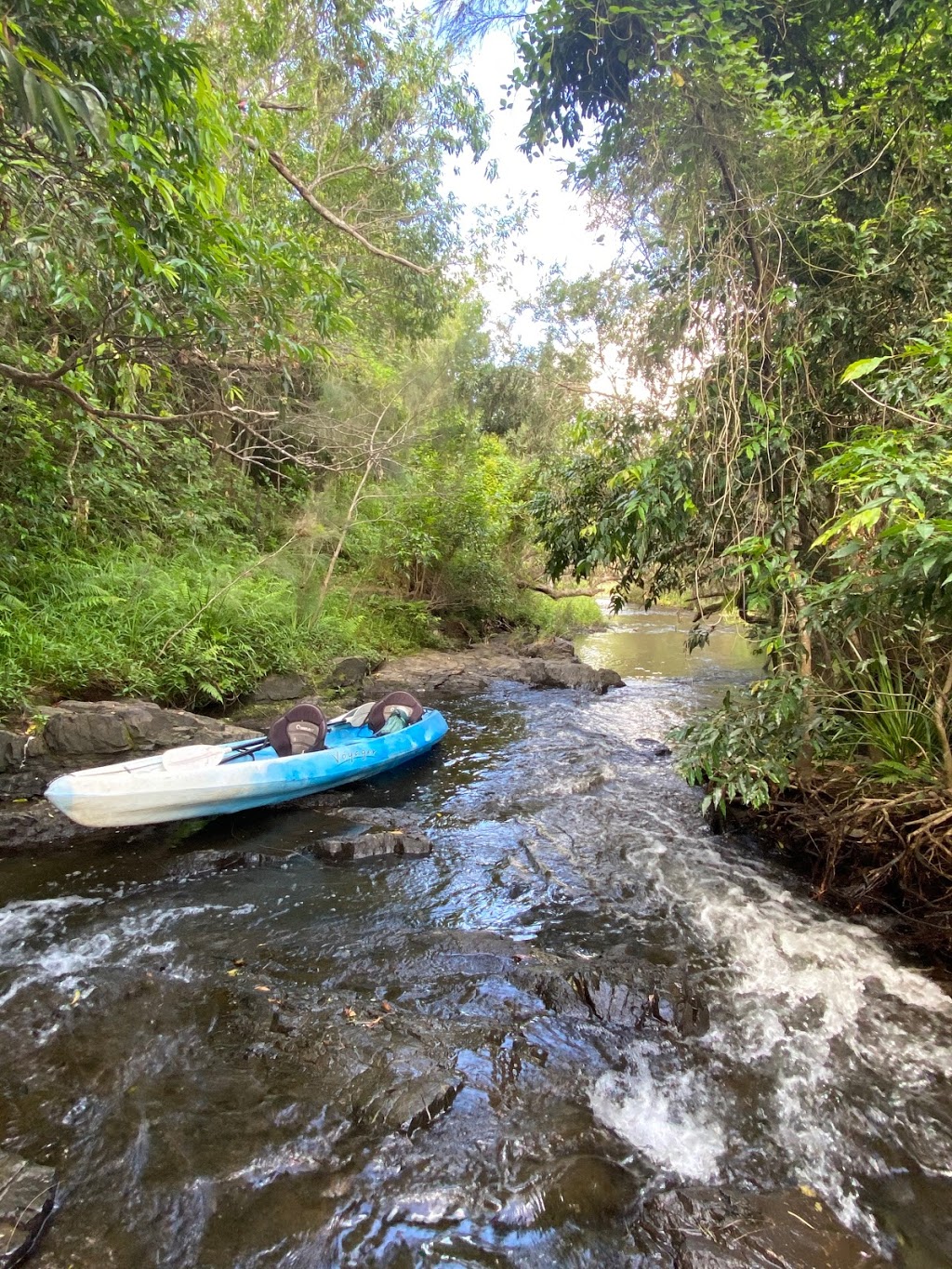Ride On Mary...Kayak & Bike Bush Adventures |  | 578 Lowe Rd, Imbil QLD 4570, Australia | 0400297678 OR +61 400 297 678