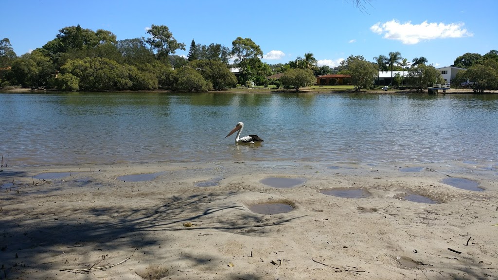 Botanical Park | 1/56 Guineas Creek Rd, Currumbin Waters QLD 4223, Australia | Phone: (07) 5598 3983