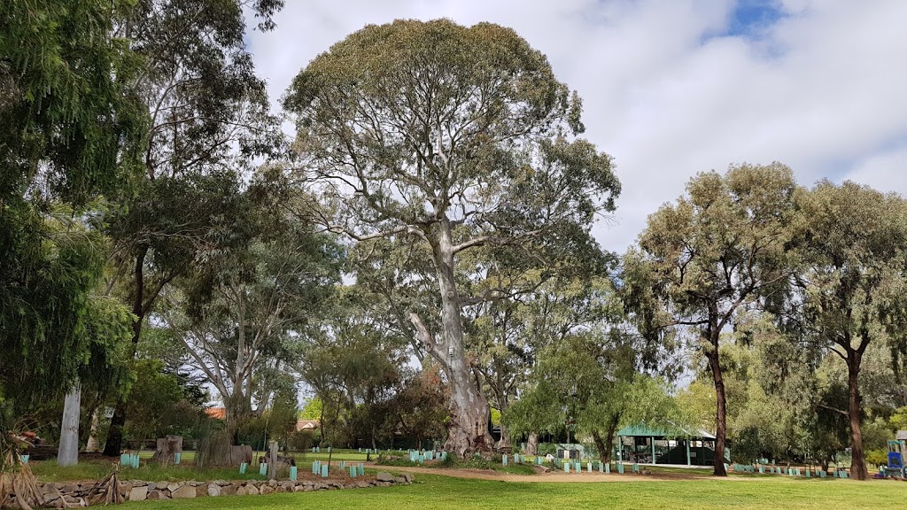 Borthwick Park | park | Thornton St, Kensington SA 5068, Australia