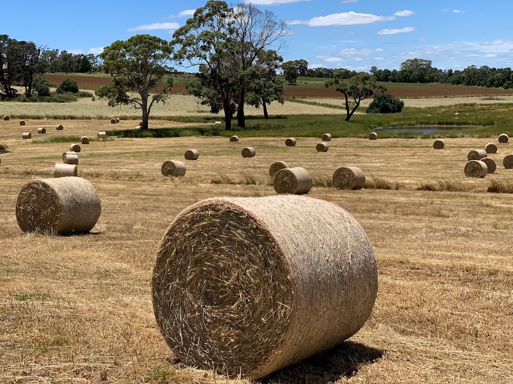 Country Food Trails | 30 Diamond Dr, Orange NSW 2800, Australia | Phone: 0402 650 190