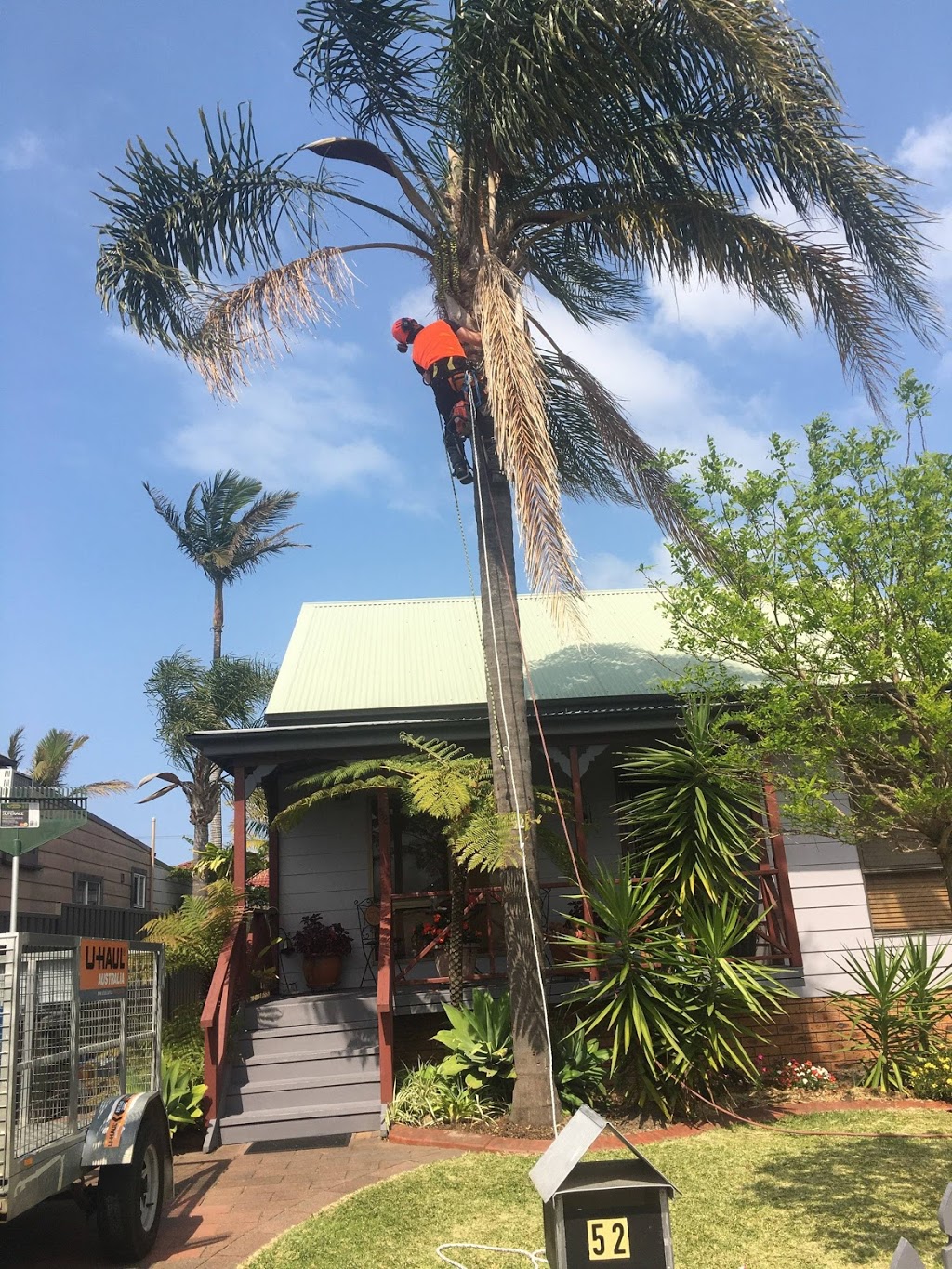 Eclipse Tree Services | 26 Goulburn St, Dudley NSW 2290, Australia | Phone: 0435 601 417