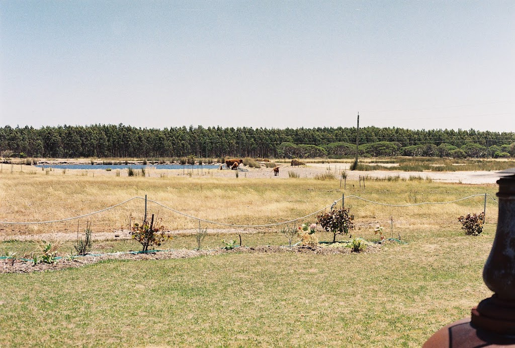 Peppermint Cottage Augusta | 10515 Caves Rd, Deepdene WA 6290, Australia | Phone: 0418 633 540