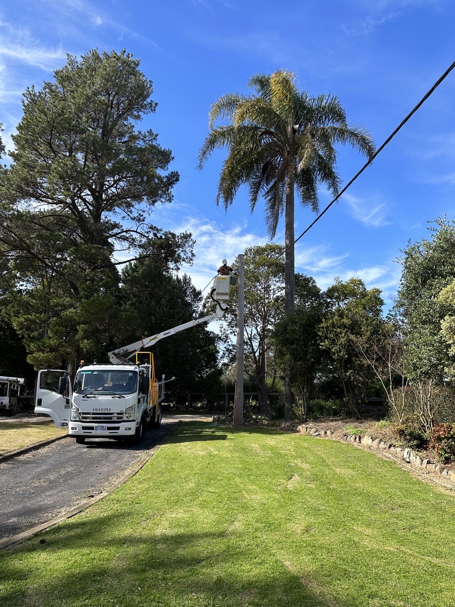 Altiv Group | 269 Mulhollands Rd, Thirlmere NSW 2572, Australia | Phone: (02) 4681 0314