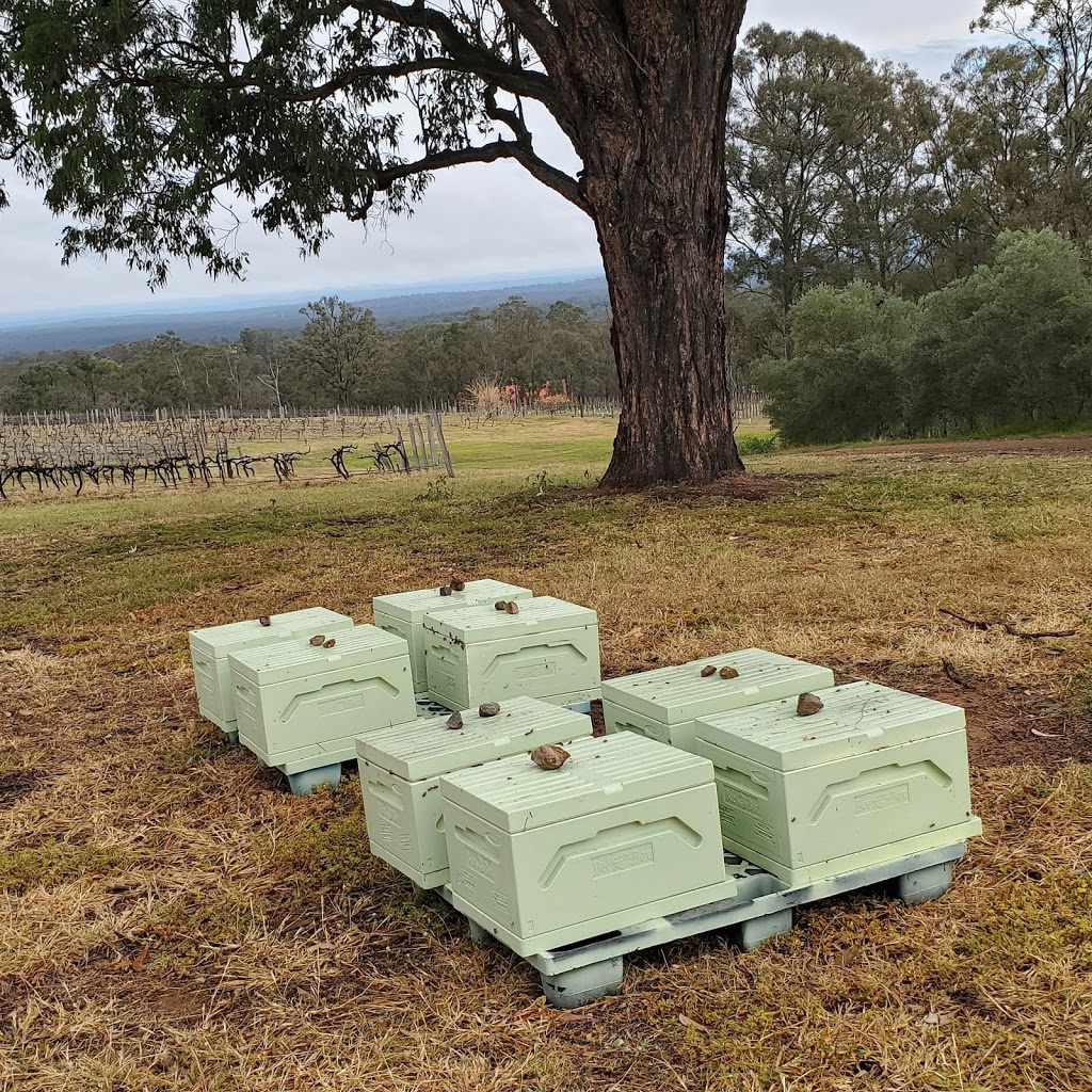 Honey Wines Australia Meadery - By Appointment | Lake St, Blackalls Park NSW 2283, Australia | Phone: 0413 351 775