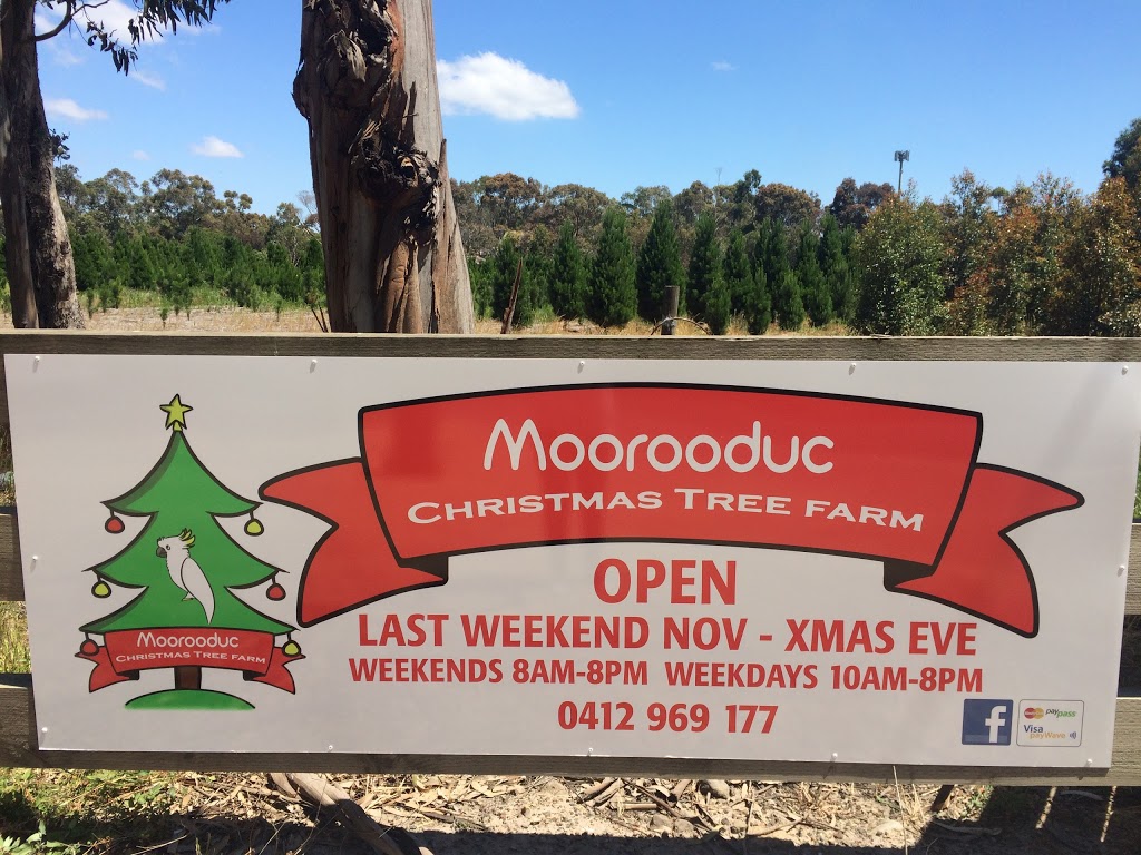 Moorooduc Christmas Tree Farm | 249 Mornington-Tyabb Rd, Moorooduc VIC 3933, Australia | Phone: 0412 969 177