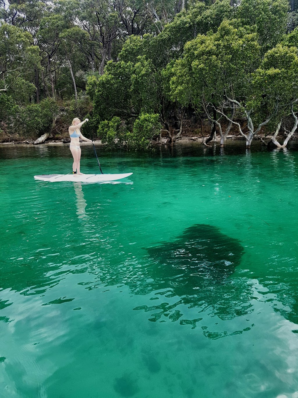 Jervis Bay Stand Up Paddle | shopping mall | 1/2 Erina Rd, Huskisson NSW 2540, Australia | 0403354716 OR +61 403 354 716