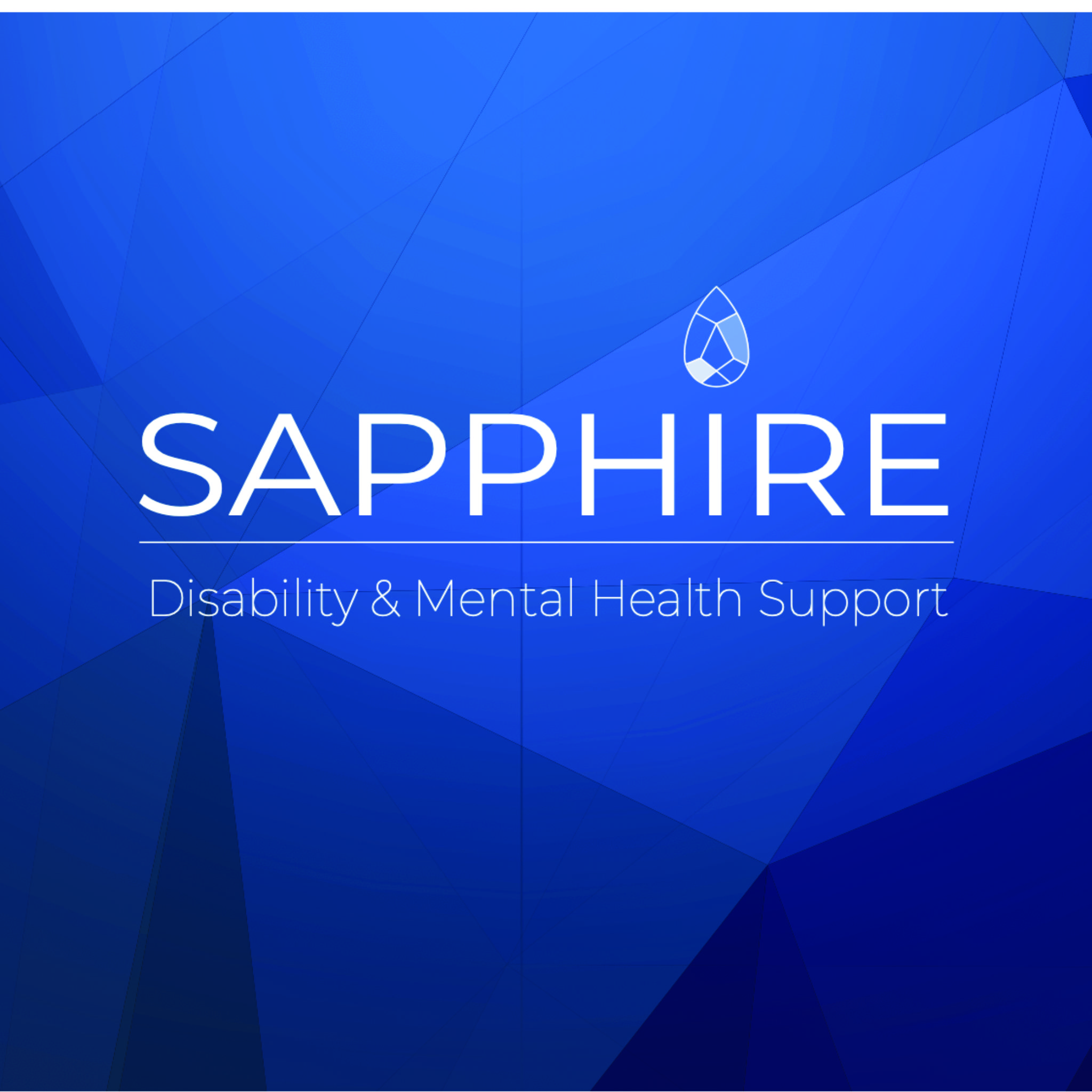 Sapphire Support | health | 1/42 Owen Creek Rd, Forest Glen QLD 4556, Australia | 1300881884 OR +61 1300 881 884