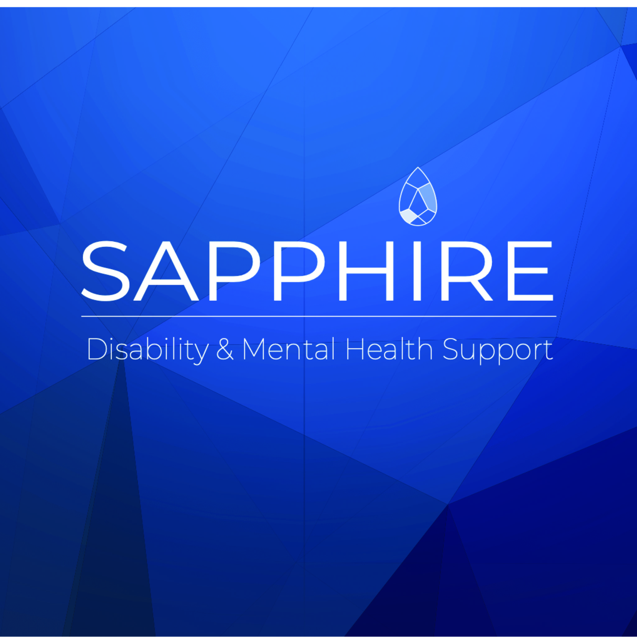 Sapphire Support | 1/42 Owen Creek Rd, Forest Glen QLD 4556, Australia | Phone: 1300 881 884