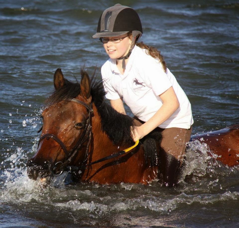 Gold Coast Equestrian Centre |  | 212 Stewart Rd, Clagiraba QLD 4211, Australia | 0499099901 OR +61 499 099 901