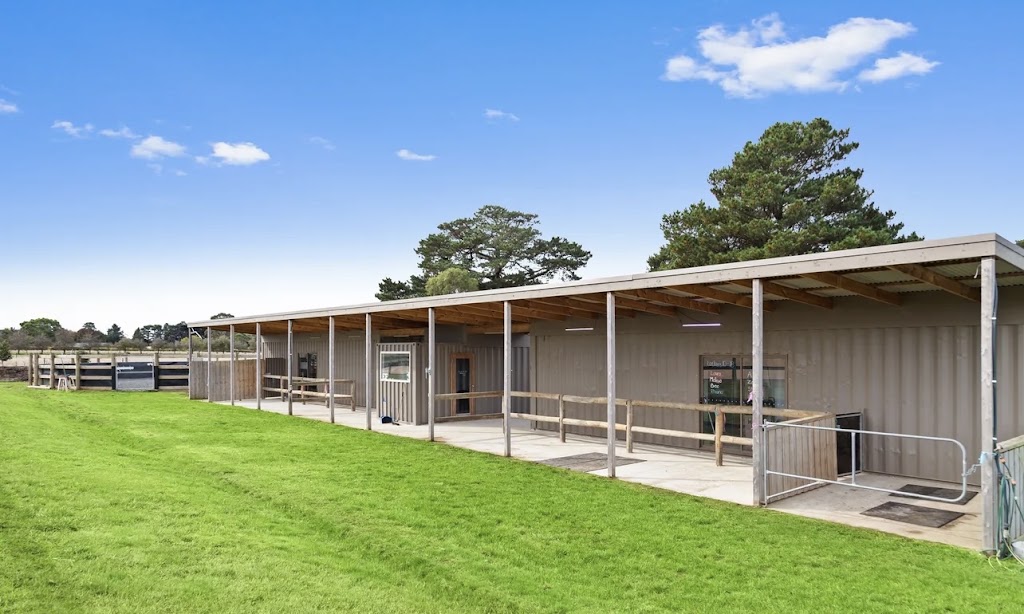 South Peninsula Stables | 177 Coolart Rd, Hastings VIC 3915, Australia | Phone: 0409 217 278