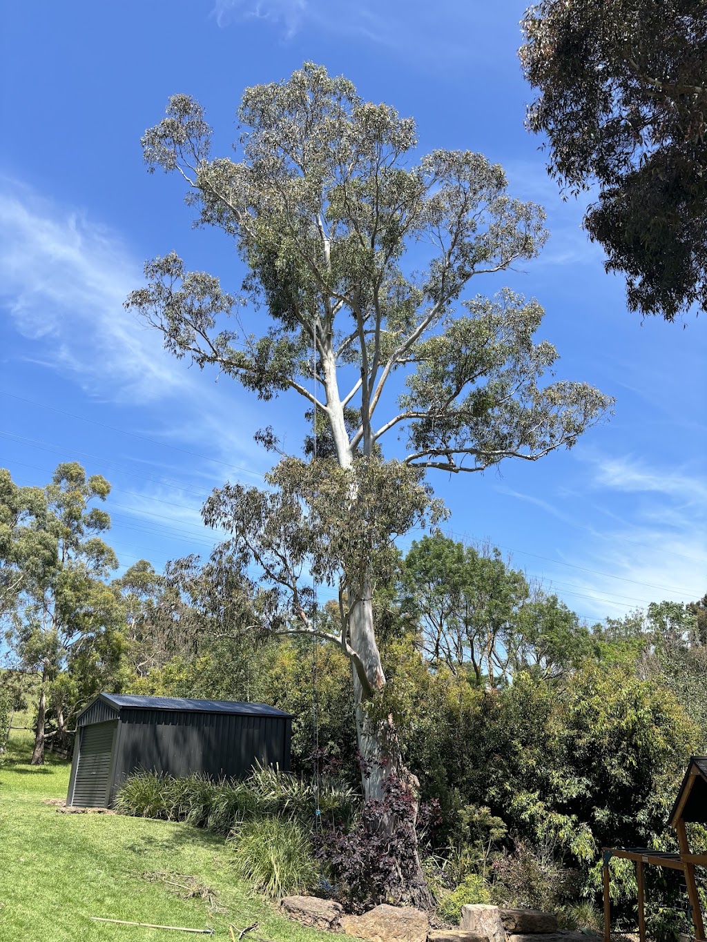 Bunyip Tree Solutions | 23 Doran Rd, Bunyip VIC 3815, Australia | Phone: 0421 286 983