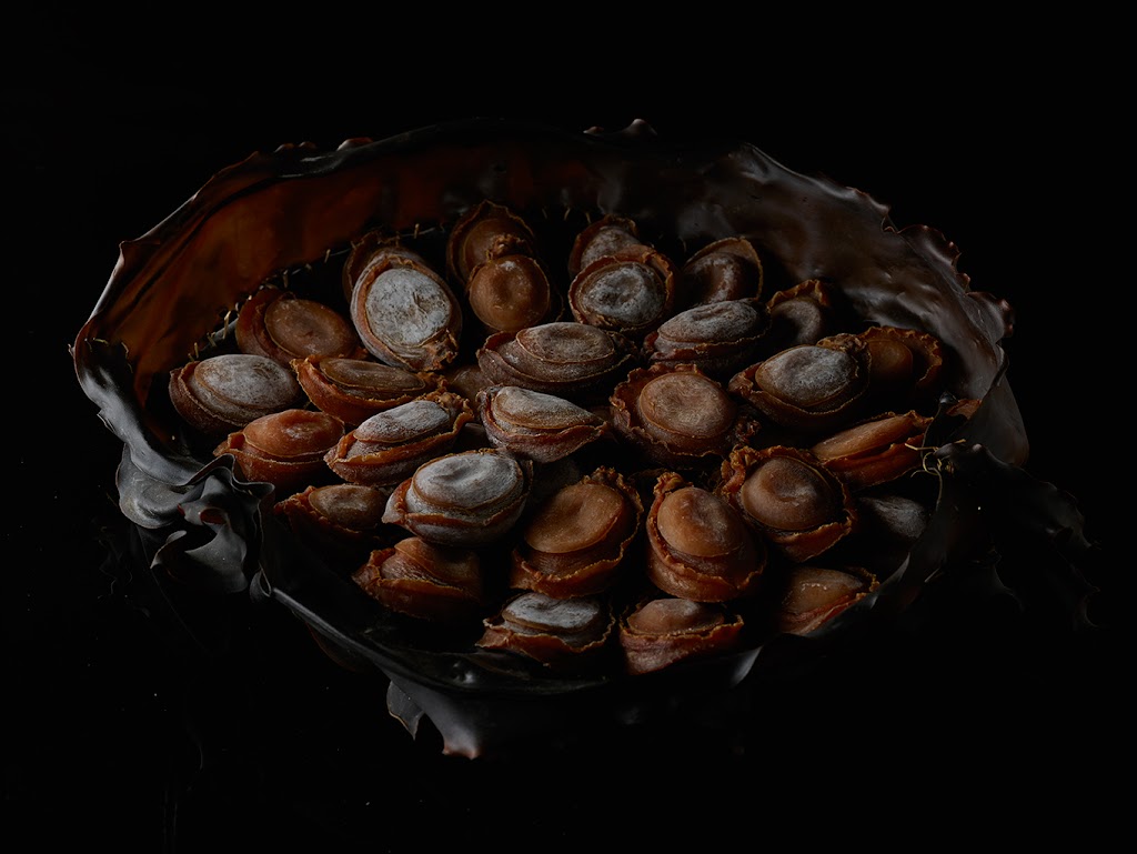 Candy Abalone | 21 Pothana Rd, Electrona TAS 7054, Australia | Phone: 0419 562 716