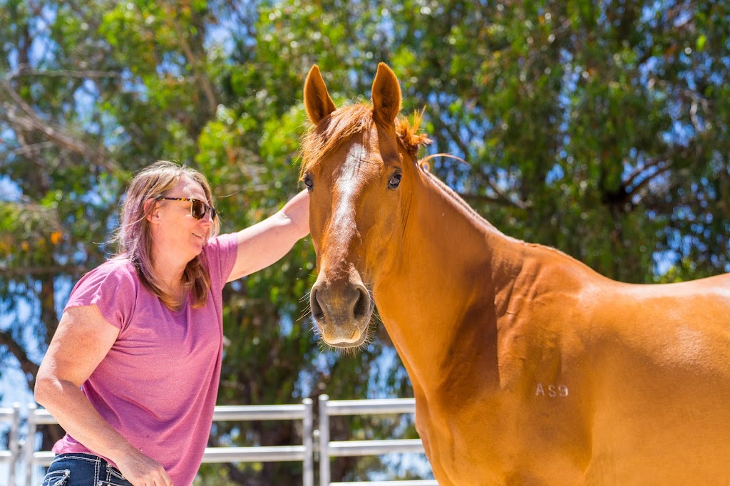 Equine Entrepreneurs |  | The Eyrie, Gidgegannup WA 6083, Australia | 0419940119 OR +61 419 940 119