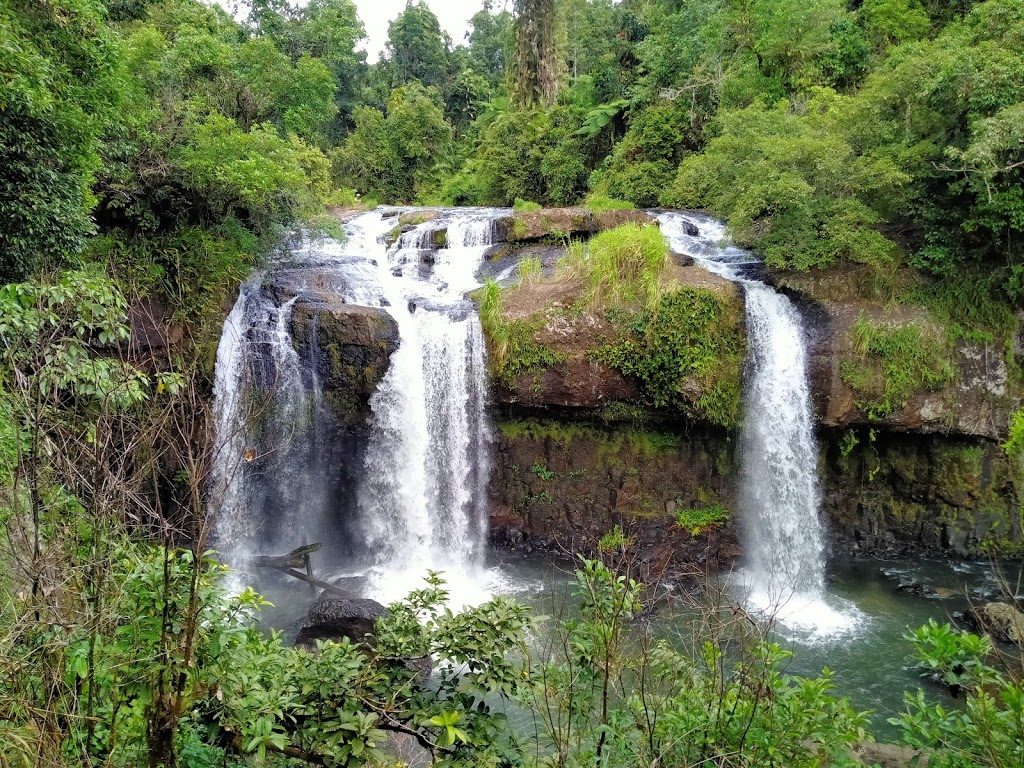 Tchupala Falls | Palmerston Hwy, Wooroonooran QLD 4860, Australia | Phone: 13 74 68