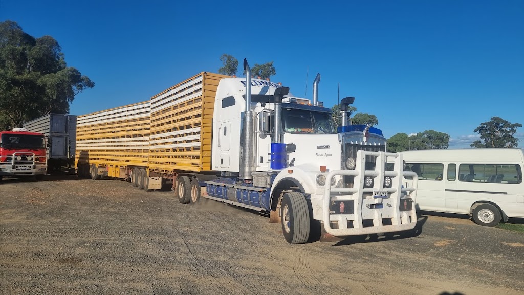 Craig Redmond livestock transport | 52 Naveena St, Brewarrina NSW 2839, Australia | Phone: 0437 819 263