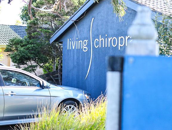 Living Chiropractic | health | 109 Wells Rd, Aspendale Gardens VIC 3195, Australia | 0395802282 OR +61 3 9580 2282
