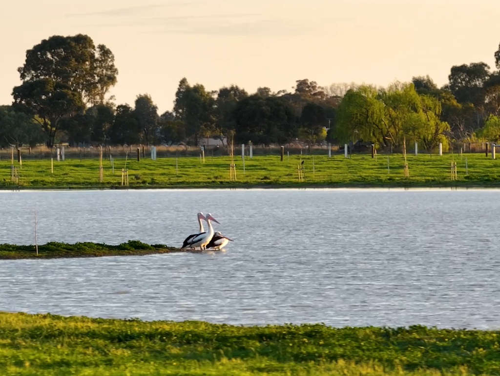 Archer Park Village | 800 Archer Rd, Kialla VIC 3631, Australia | Phone: 0427 353 265