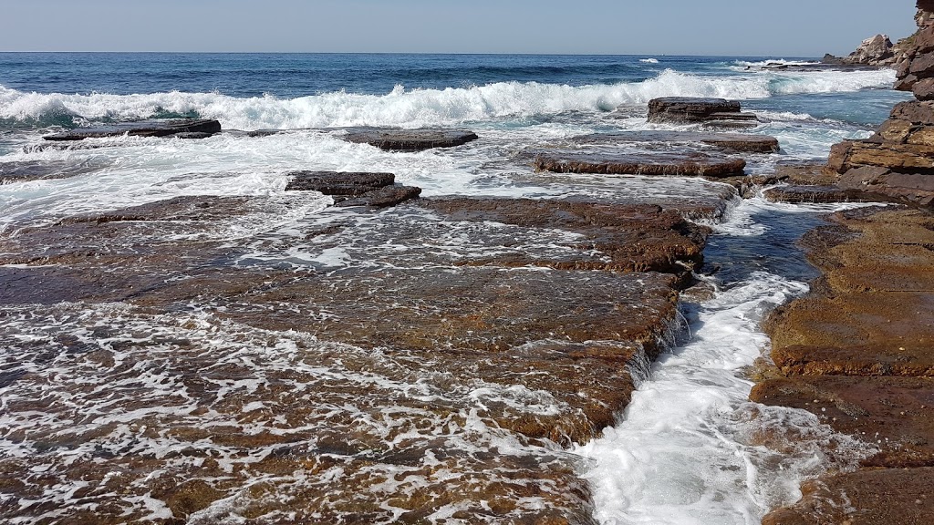 Avalon Beach Surf Life Saving Club |  | 558A Barrenjoey Rd, Avalon Beach NSW 2107, Australia | 0299183298 OR +61 2 9918 3298