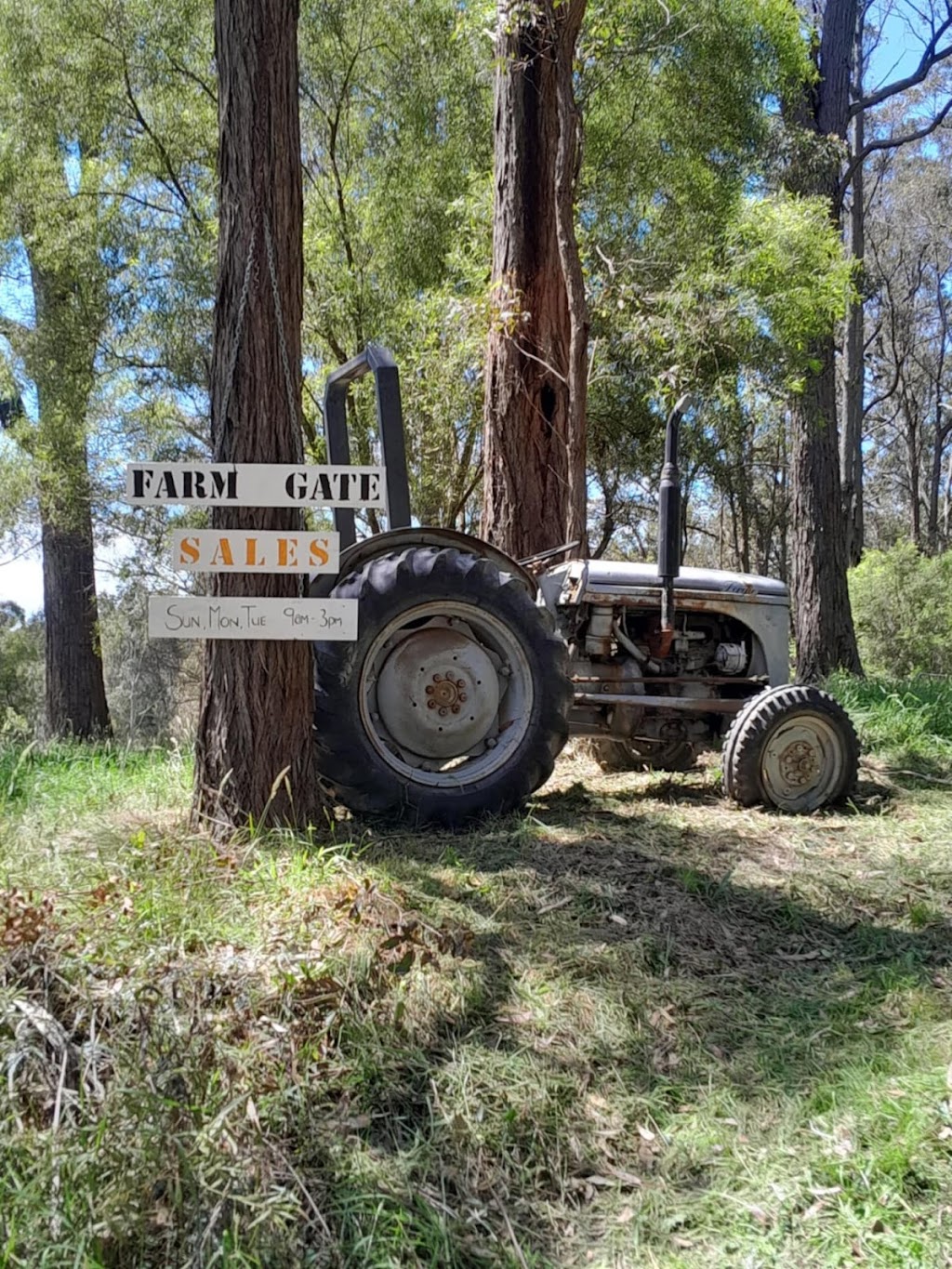Kellies Farm House Kitchen | Barneys Boggle Track, Hedley VIC 3967, Australia | Phone: 0428 816 208
