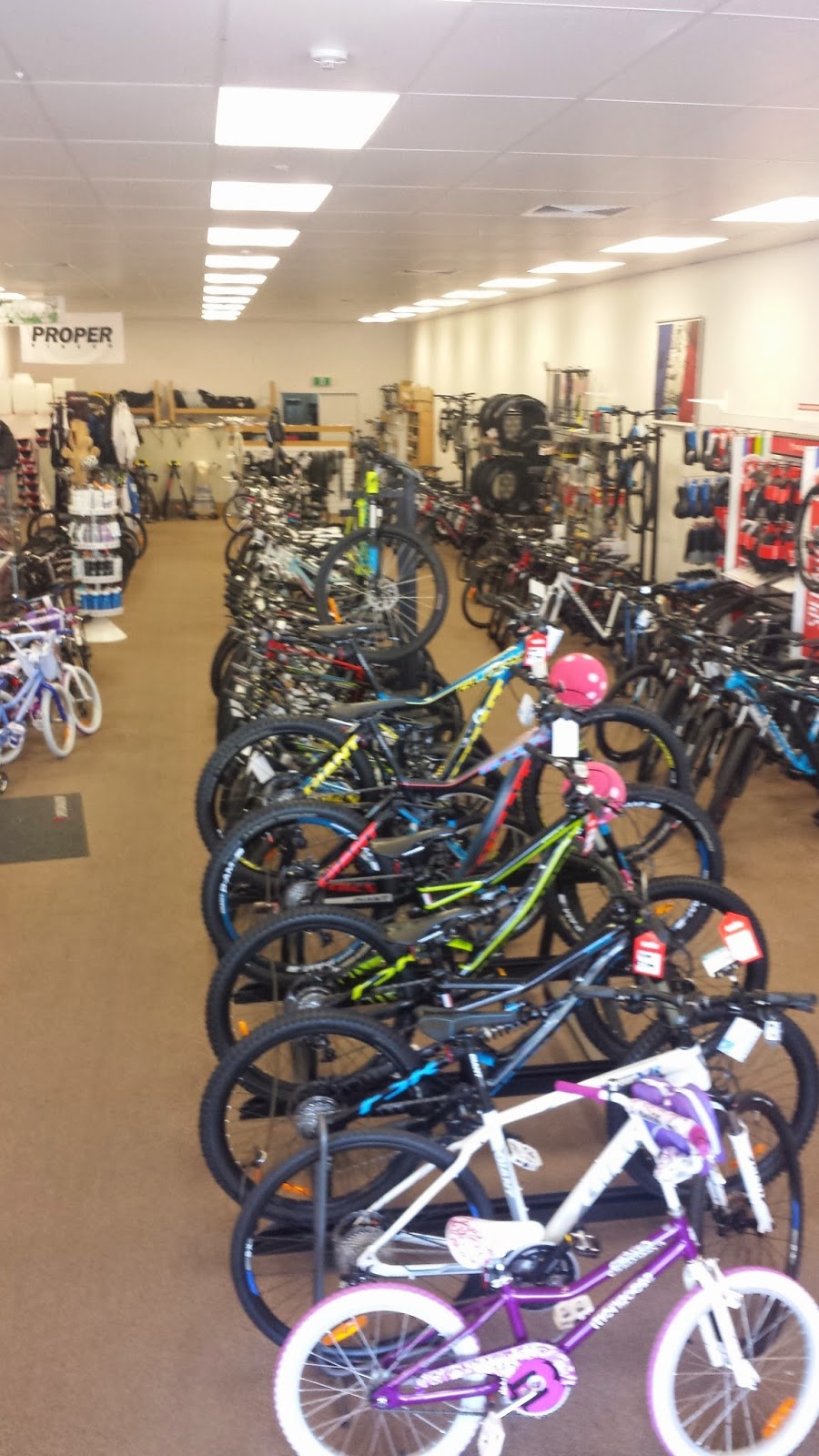 Gawler Cycles | bicycle store | 4/1 Theen Ave, Willaston SA 5118, Australia | 0885222343 OR +61 8 8522 2343