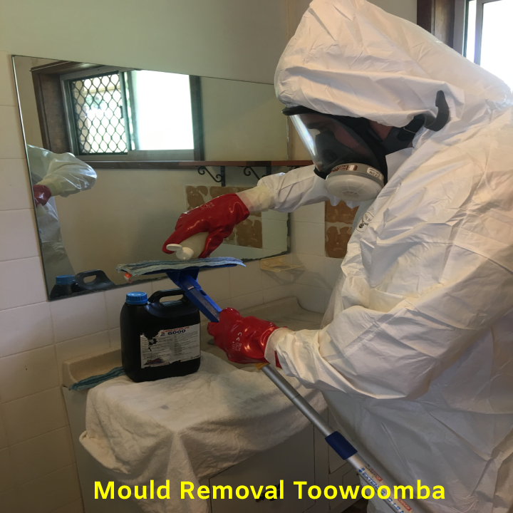 Electrodry Mould Removal Toowoomba |  | 70/57-75 Brook St, Toowoomba City QLD 4350, Australia | 1300132713 OR +61 1300 132 713