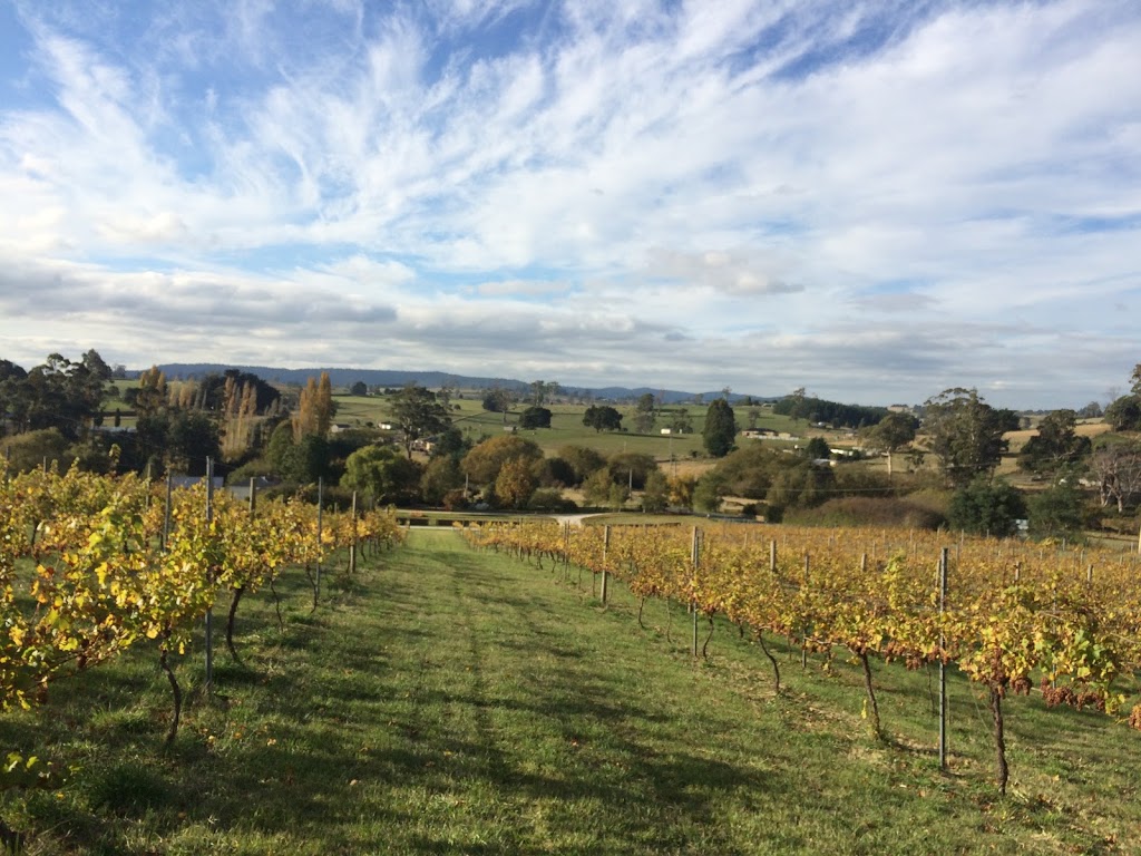 3 Willows Vineyard | 46 Montana Rd, Red Hills TAS 7304, Australia | Phone: 0488 417 980