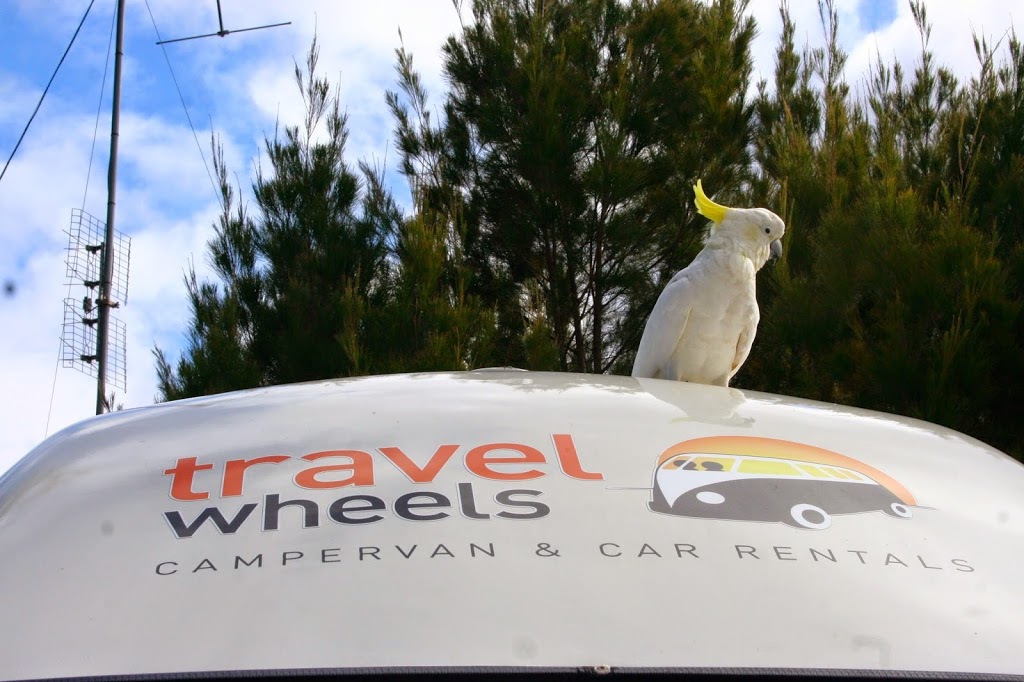 Travelwheels Campervan Hire Brisbane | car dealer | Northgate, 20 Noble Ave, Brisbane QLD 4013, Australia | 0412766616 OR +61 412 766 616