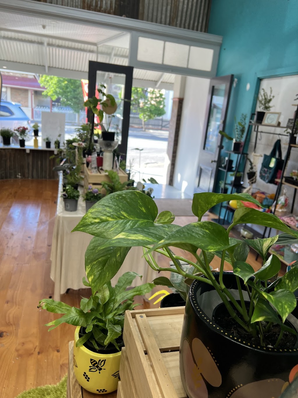 Soul of the Soil Co. | 11 Bruce St, Eudunda SA 5374, Australia | Phone: 0409 686 553