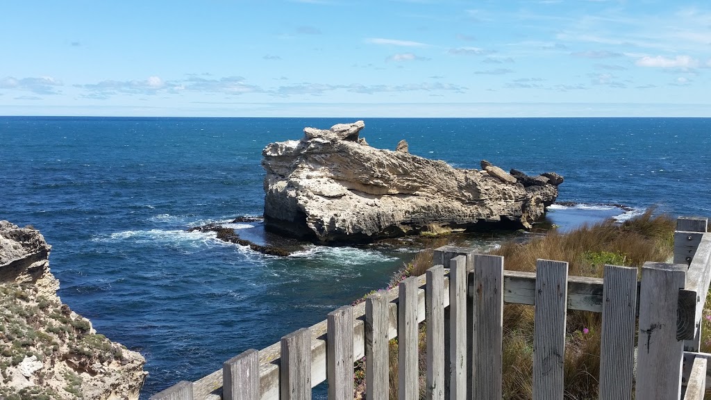 Fairy Penguin Colony | park | Port Macdonnell SA 5291, Australia