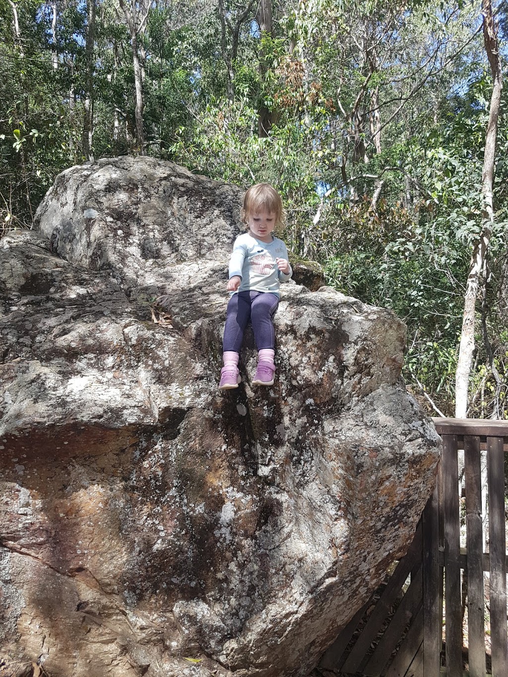 Daguilar National Park | park | Mount Glorious QLD 4520, Australia