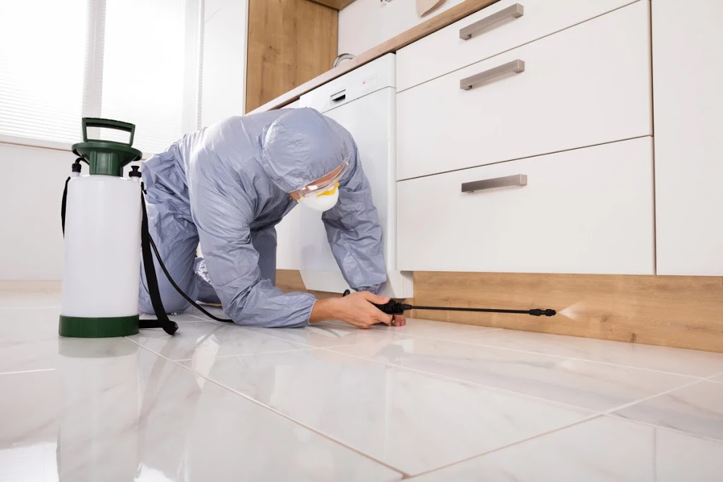 Expert Termite Inspections - Termite Treatments - Local Solution | home goods store | 12 Colorado Dr, Blue Haven NSW 2262, Australia