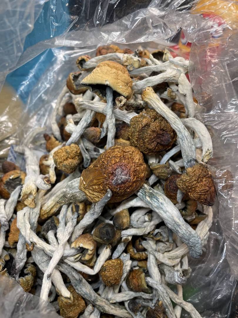 Anthony mushrooms center | Victoria St, Kerang VIC 3579, Australia | Phone: 0430 793 790