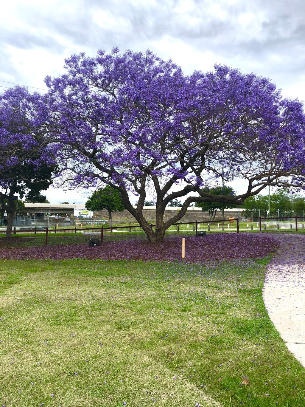 Jacaranda Trees Park | park | Goodna QLD 4300, Australia