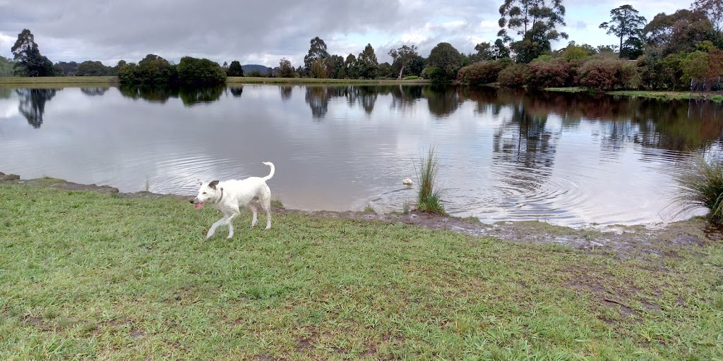 Kariong dog park | park | Kariong NSW 2250, Australia